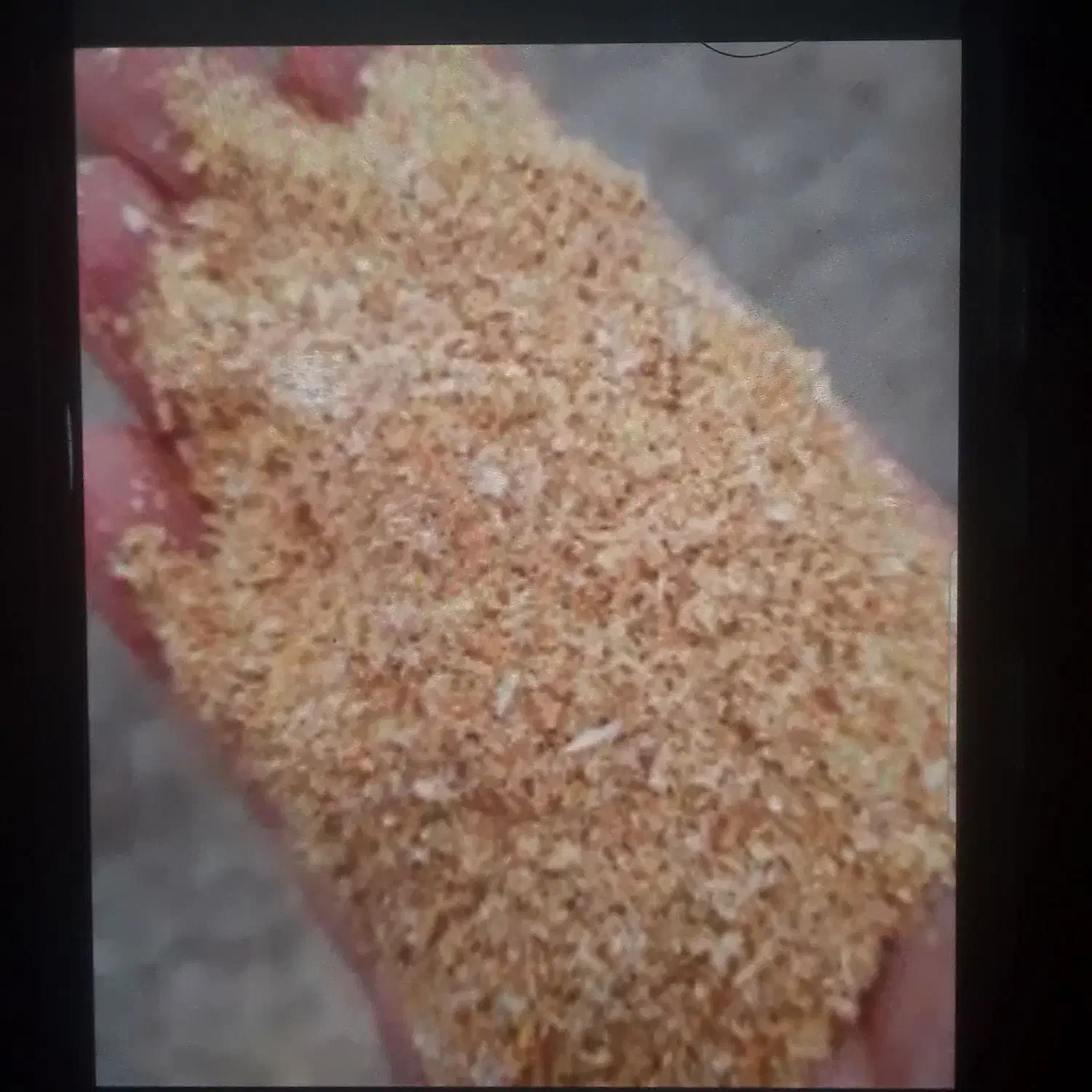 سبوس گندم|لوازم جانبی حیوانات|قرچک, محمد آباد|دیوار