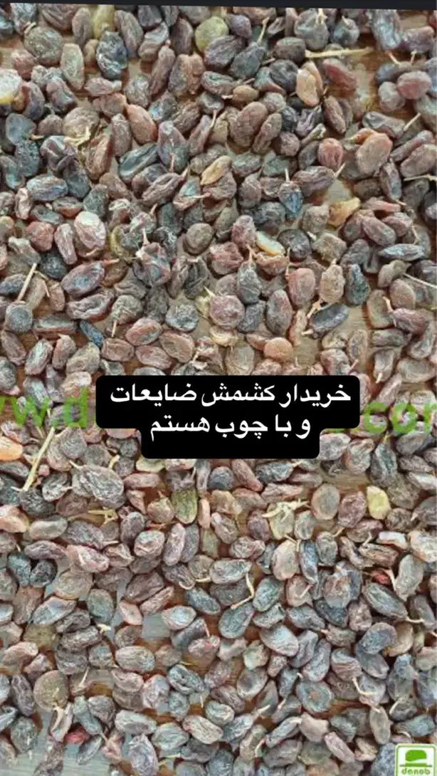 کشمش و مویز|خوردنی و آشامیدنی|شیراز, باغ تخت|دیوار