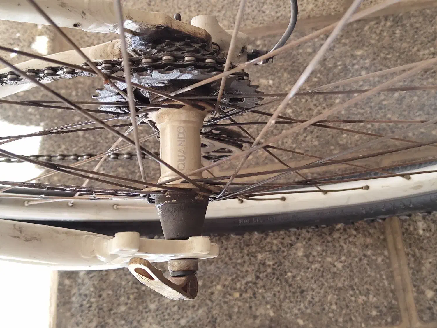 دوچرخه|دوچرخه، اسکیت، اسکوتر|شیراز, ارم|دیوار