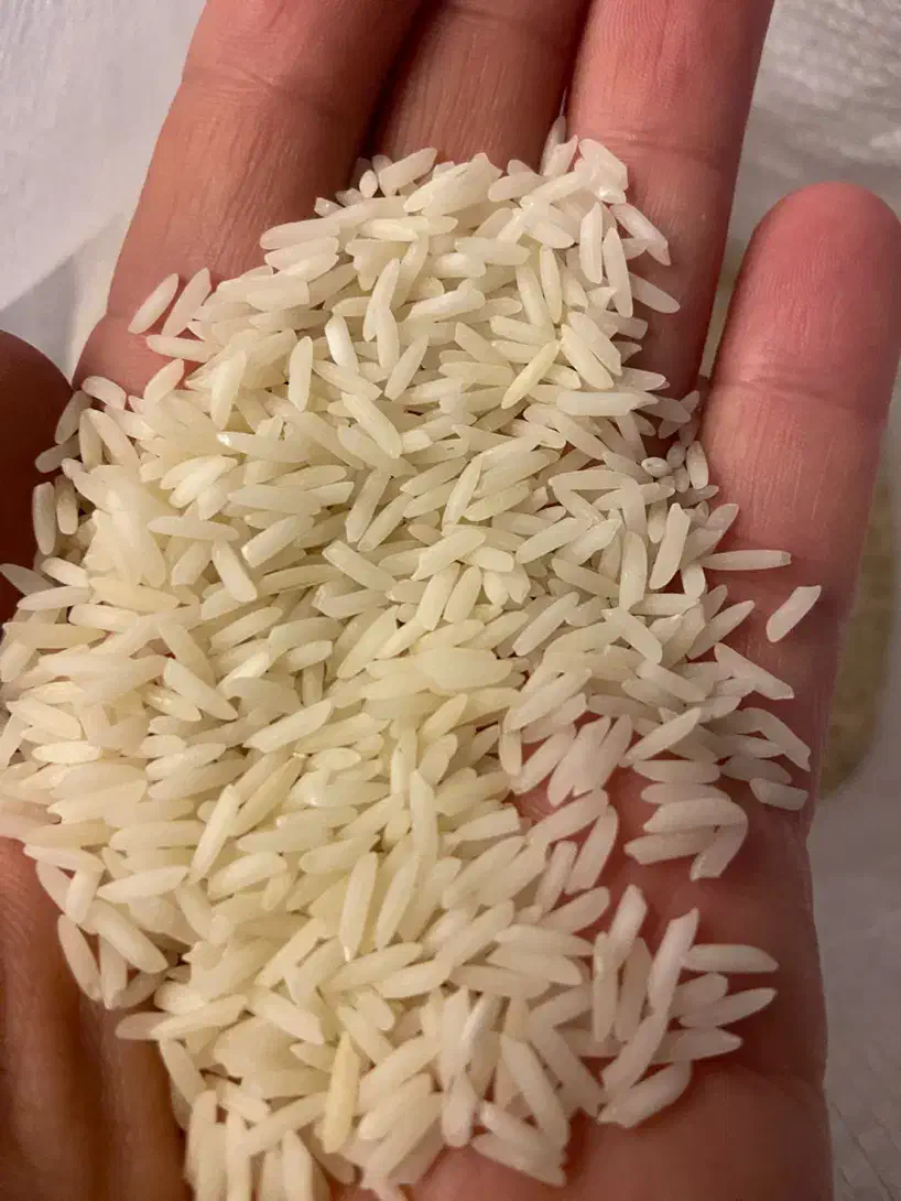 برنج نیم دانه و سالم هاشمی امساله|خوردنی و آشامیدنی|رشت, سعدی (تختی)|دیوار