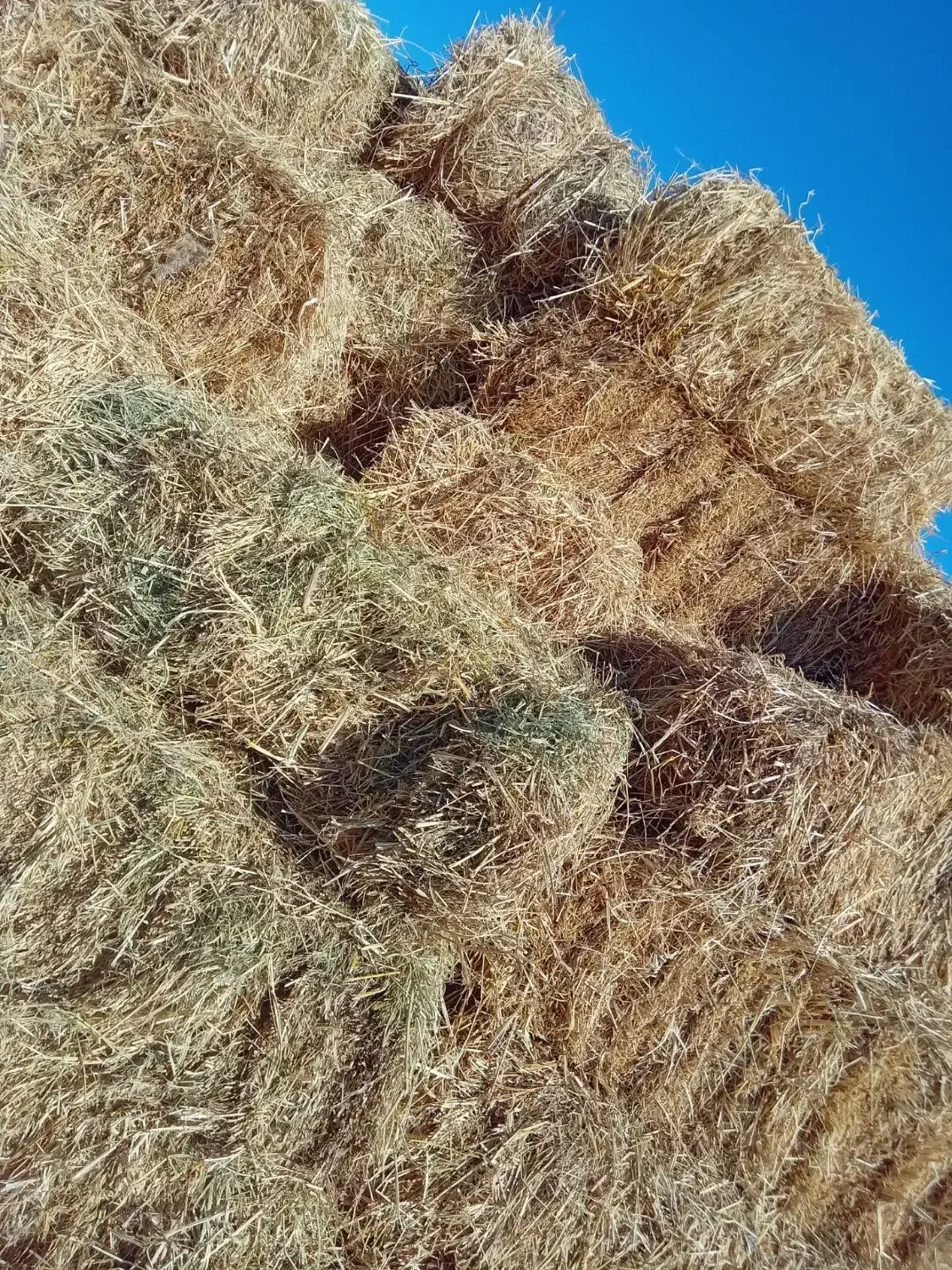 پرس کاه|عمده‌فروشی|مشهد, شهرک صنعتی توس|دیوار