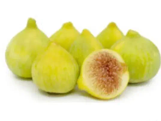 انجیر و میو|گل و گیاه طبیعی|نمشیر, |دیوار