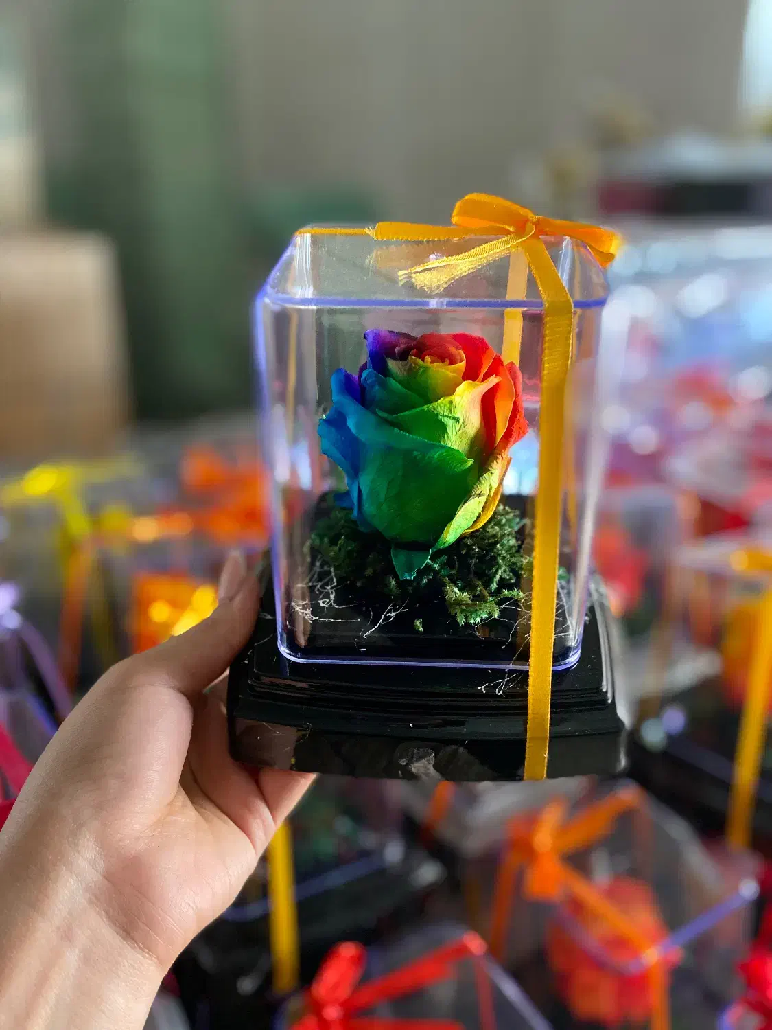 گل جاودان|گل و گیاه طبیعی|محمدیه-قزوین, |دیوار