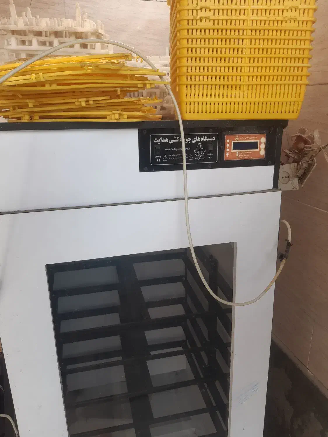 هدایت ۱۰۰۸تای|لوازم جانبی حیوانات|چناران, |دیوار