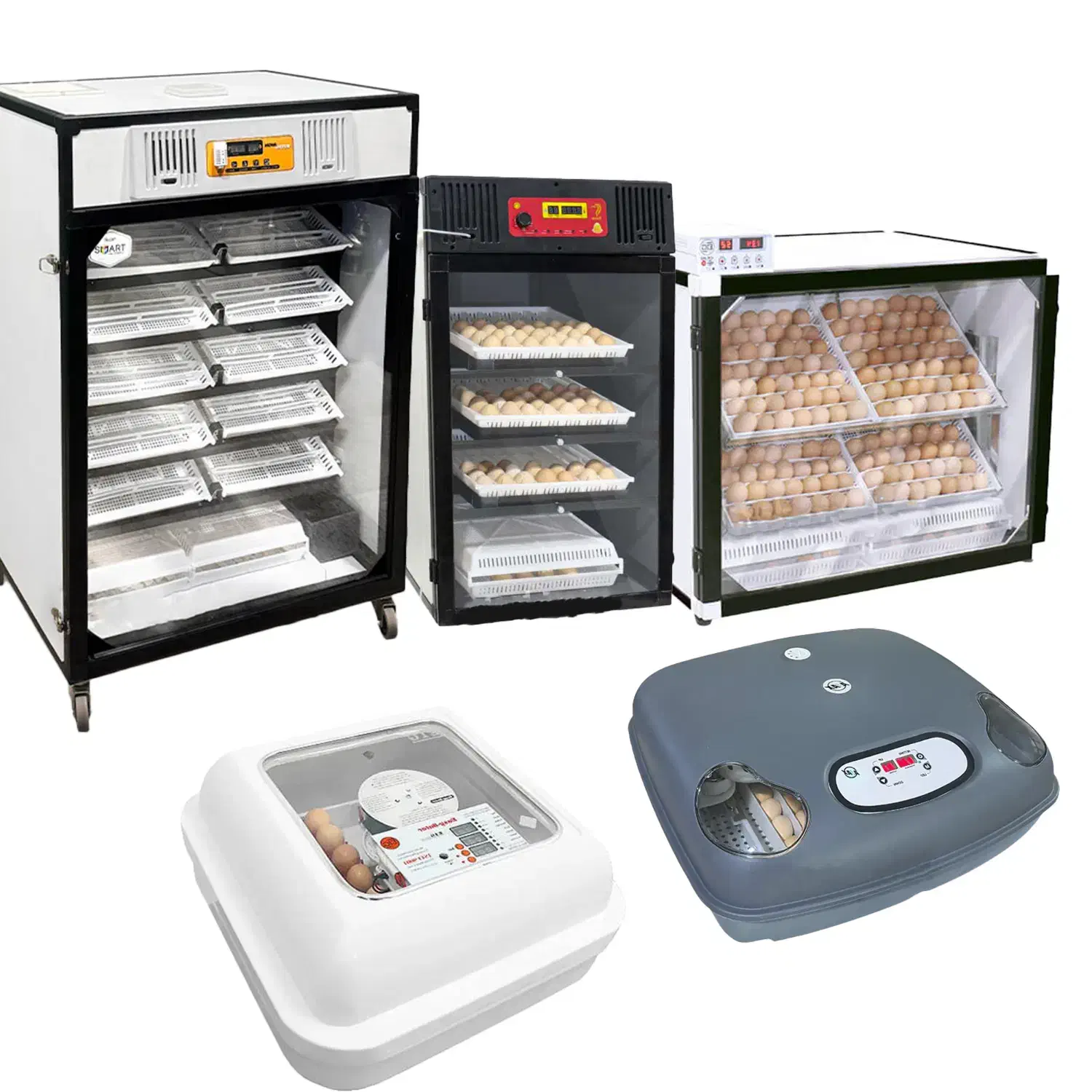 فروش دستگاه های جوجه کشی اسکندری (نمایندگی)|لوازم جانبی حیوانات|بابل, |دیوار