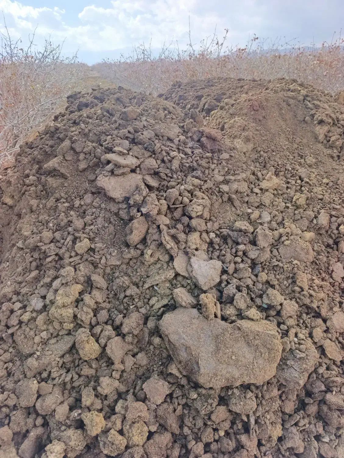 کود گاوی درجه 1|خدمات باغبانی و درختکاری|کرمان, |دیوار