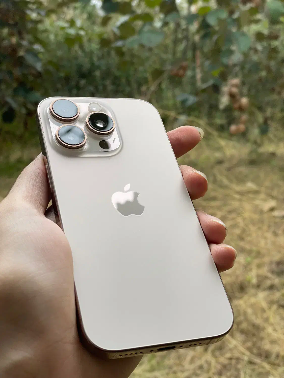 ایفون ۱۶پرو ۲۵۶ گیگ Zaa|موبایل|تنکابن, |دیوار