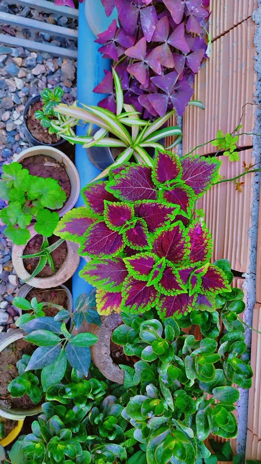 کارت ملی|اشیا|قائمشهر, |دیوار