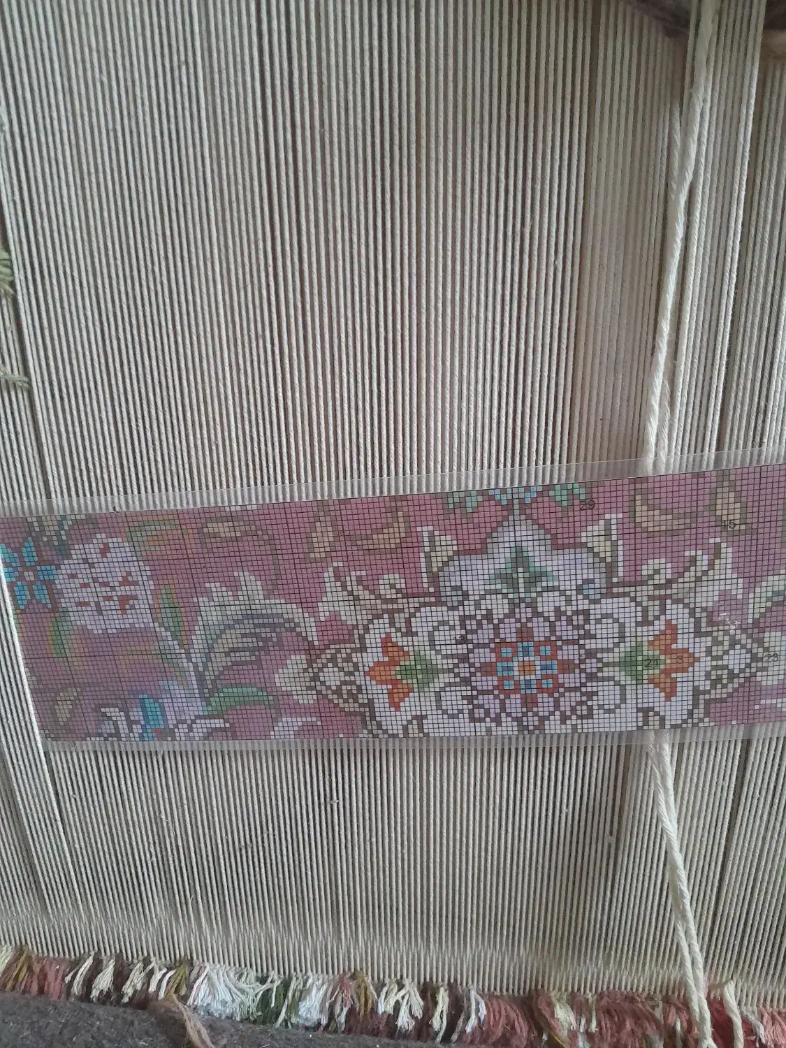 فرش اولیا نیمه کاره دوتا|فرش|مراغه, |دیوار