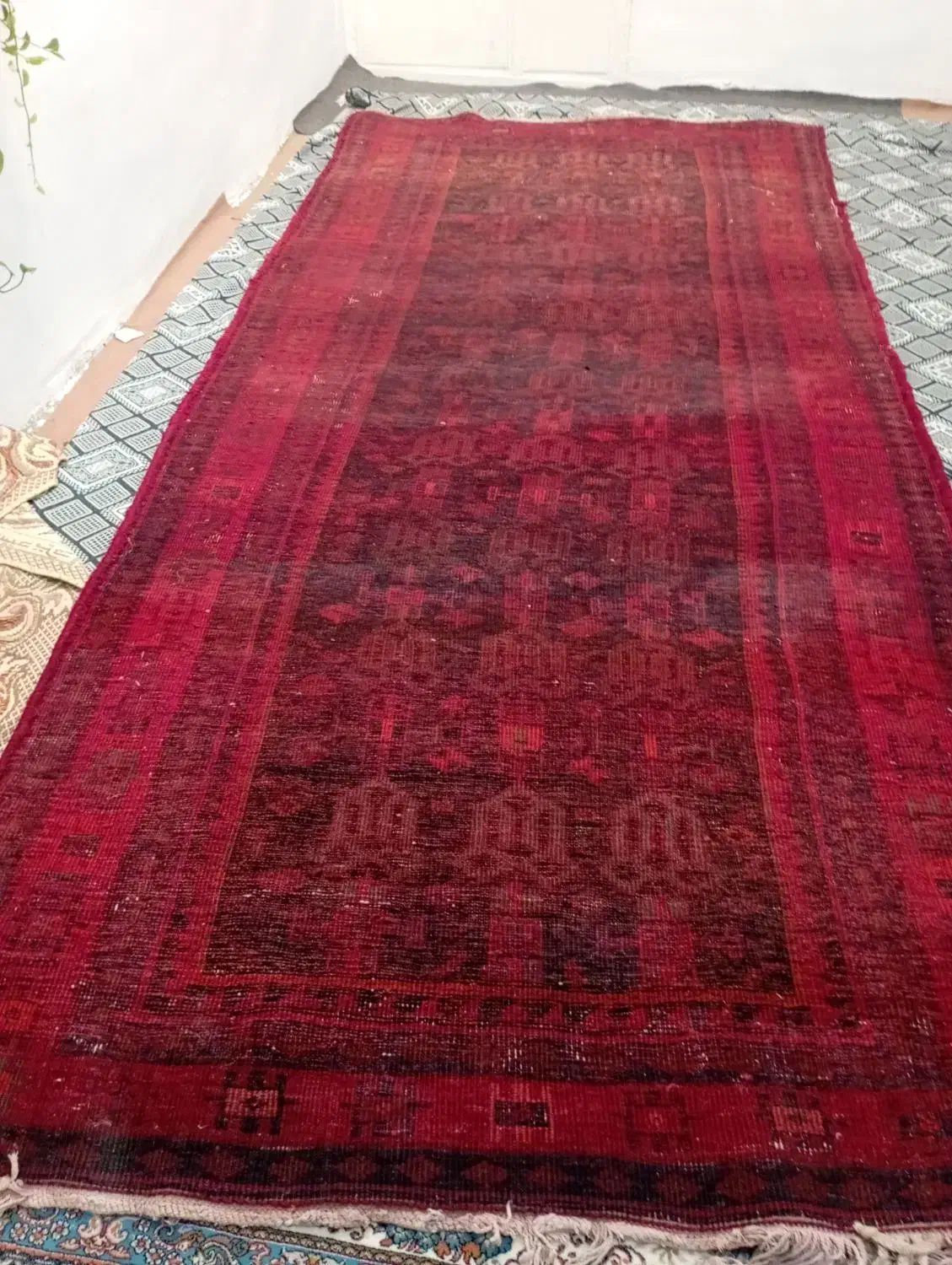 اتیقه جات|کلکسیون اشیاء عتیقه|سنندج, |دیوار