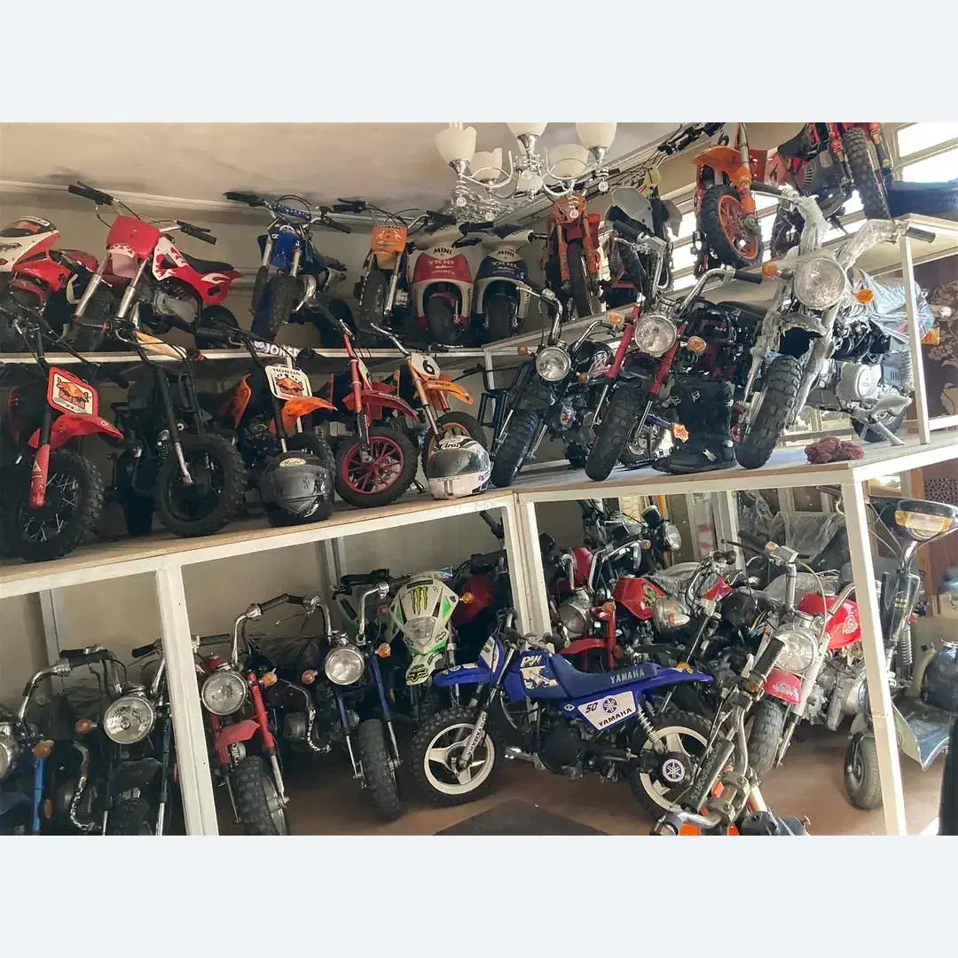 فروش انواع موتور مینی|موتورسیکلت|شیراز, فضلآباد|دیوار