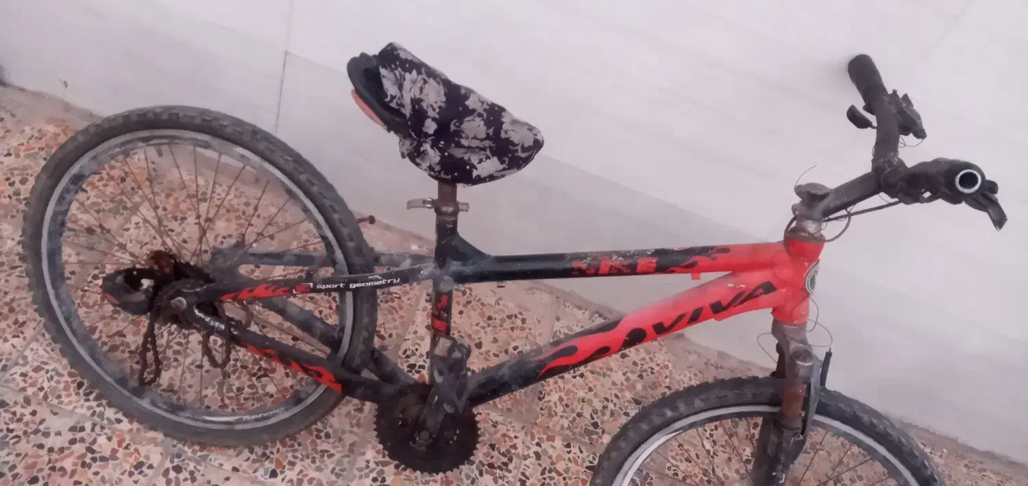 دوچرخه مدل ۲۴ ویوا|دوچرخه، اسکیت، اسکوتر|حمیدیه, |دیوار