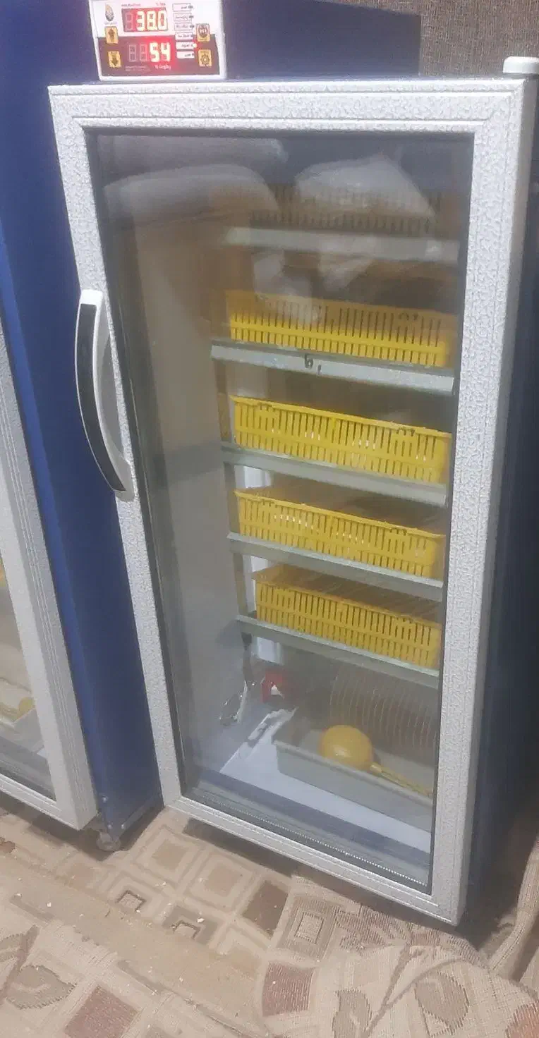 دستگاه 210 تایی بلدرچین دماوند فروشی|لوازم جانبی حیوانات|قائمشهر, |دیوار