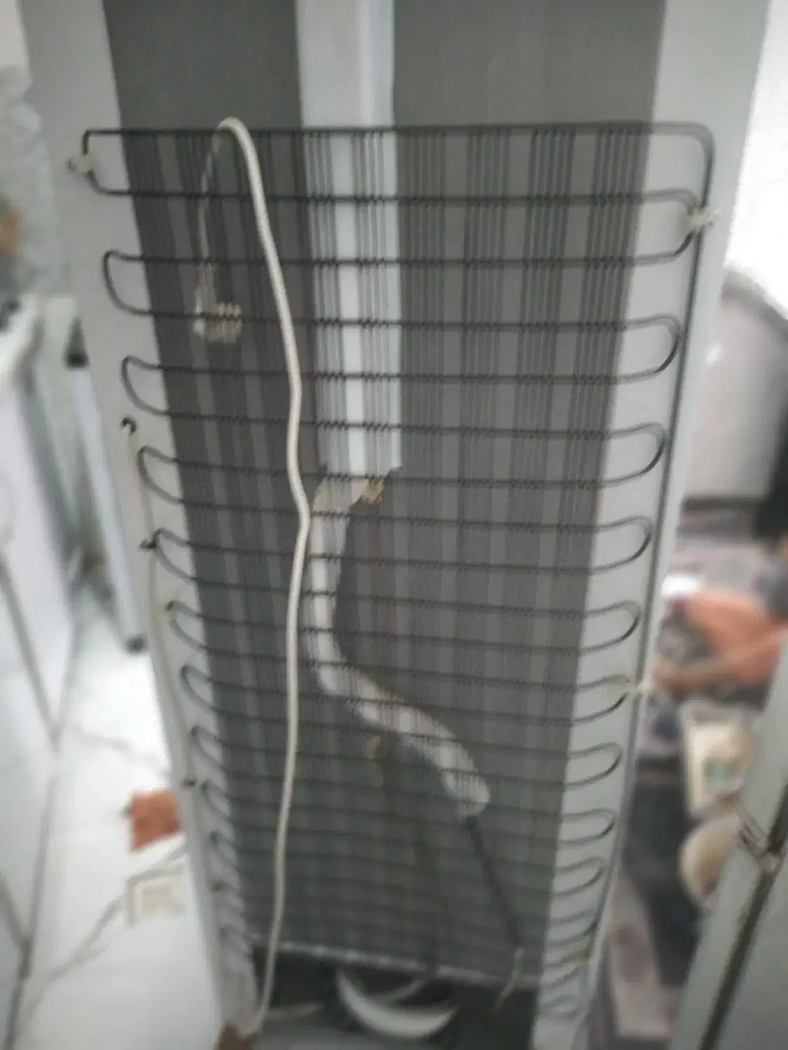 یخچال|یخچال و فریزر|شیراز, شریفآباد|دیوار