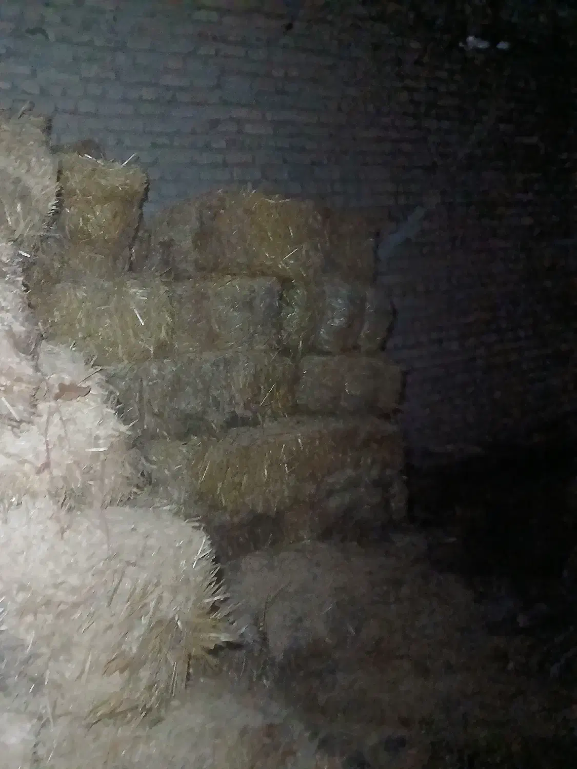 پرس گندم|عمدهفروشی|بروجرد, |دیوار