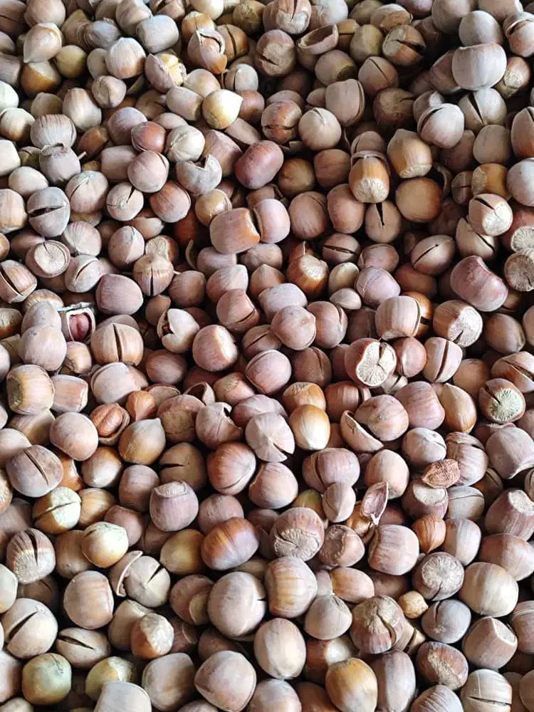 فندق.بادام.کشمش|خوردنی و آشامیدنی|گرگان, |دیوار