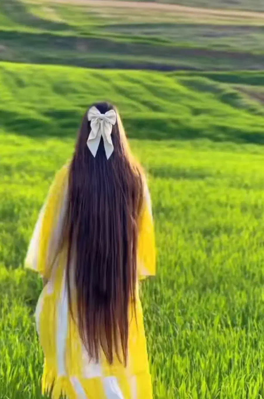 موی خام و طبیعی|آرایشی، بهداشتی، درمانی|ایلام, |دیوار