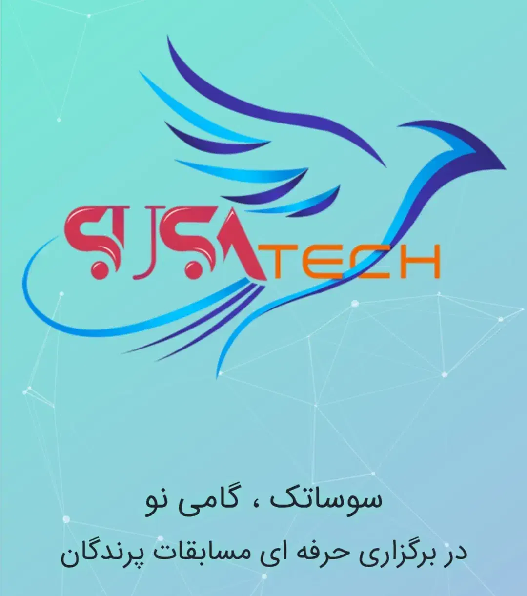 کبوتر مسافتی|حیوانات|گرگان, |دیوار