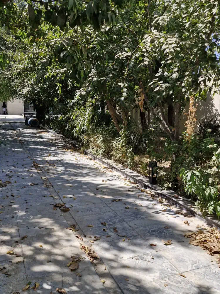 ویلای رویاهاتو باهم پیدا کنیم/650م باغچه/آقای ویلا|فروش خانه و ویلا|محمدشهر, محمدشهر|دیوار