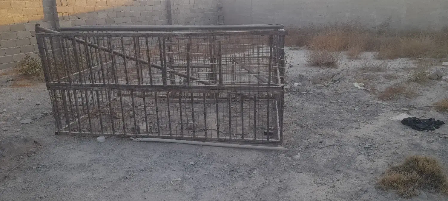 قفس بزرگ|لوازم جانبی حیوانات|هشتگرد, هشتگرد قدیم|دیوار