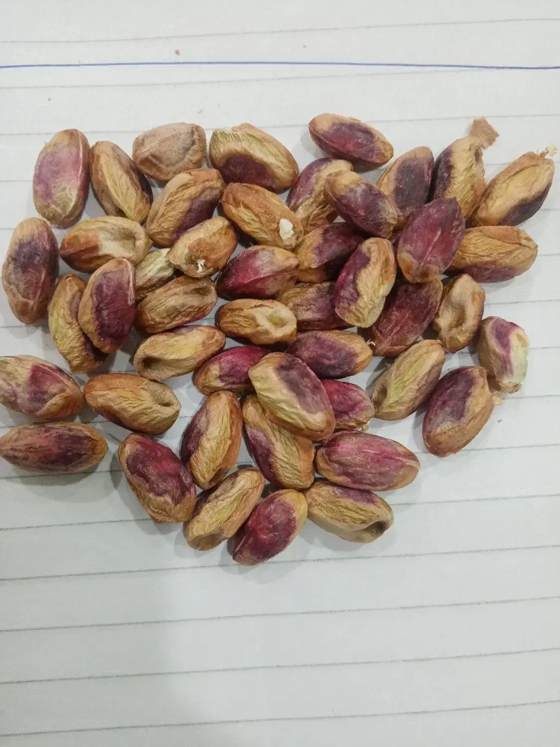 مغز پسته|خوردنی و آشامیدنی|بردسکن, |دیوار