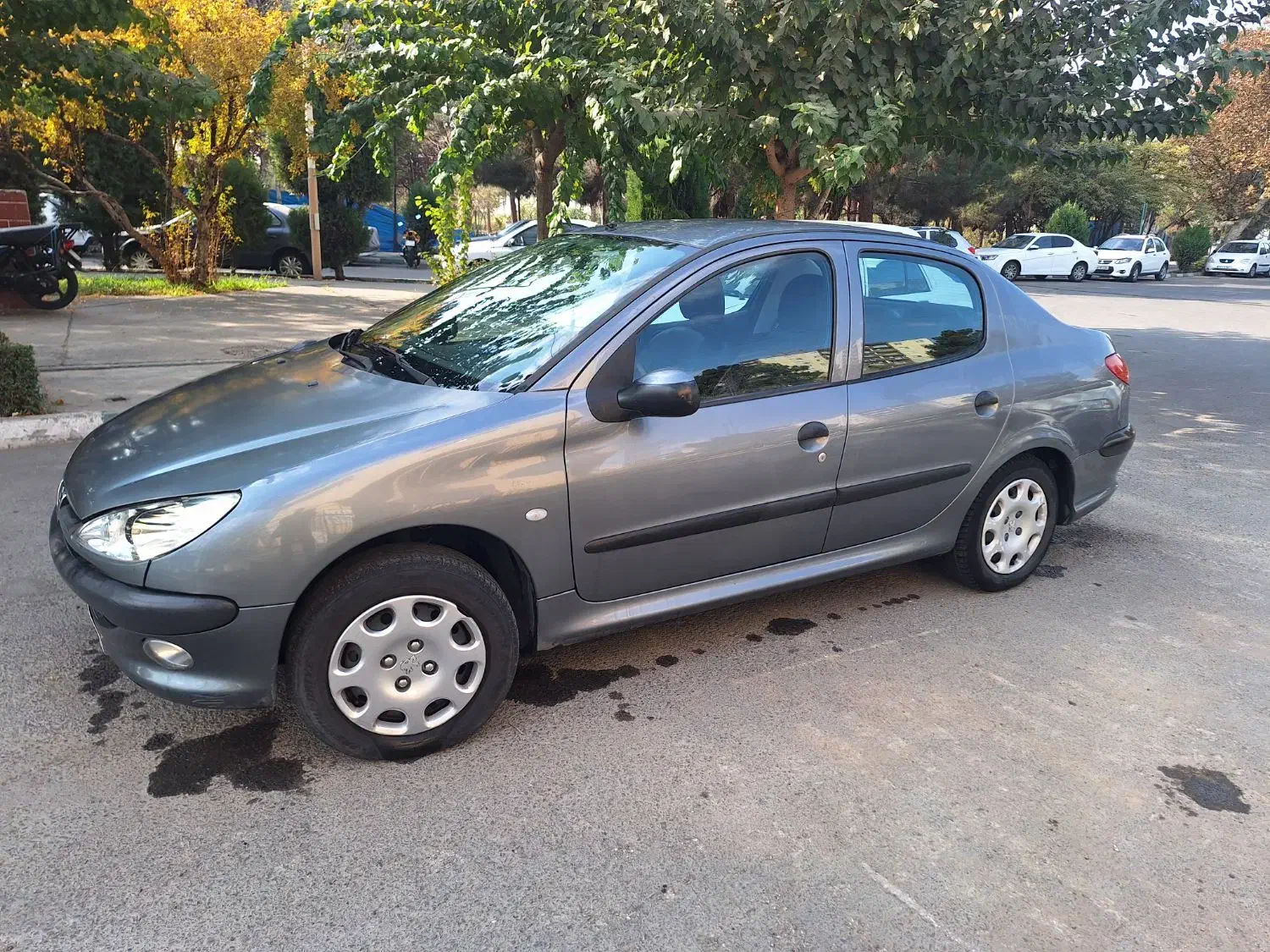 پژو ۲۰۶ sd  مدل ۹۵|خودرو سواری و وانت|تهران, سجاد|دیوار