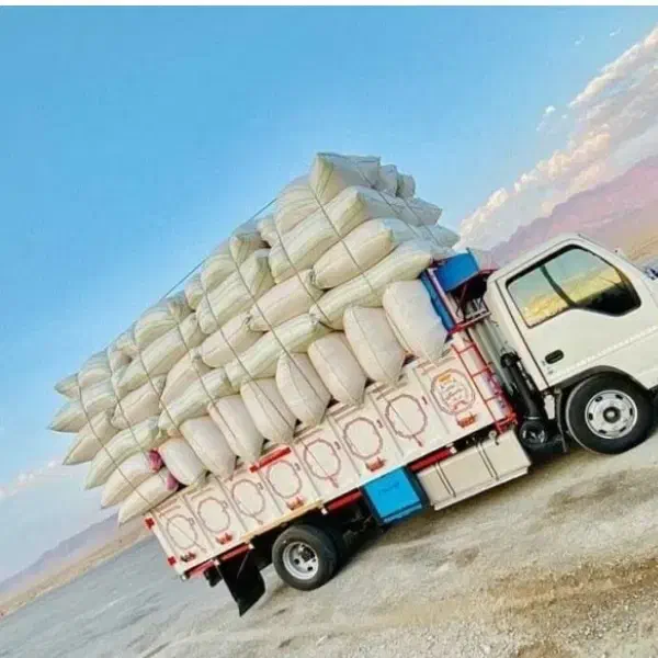 کاه گندم|لوازم جانبی حیوانات|دهگلان, |دیوار