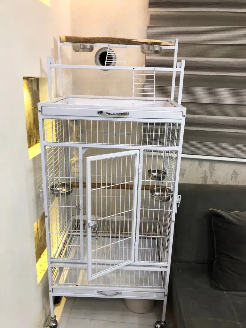 قفس مخصوص ( ارا - کاسکو- کاکادو)|لوازم جانبی حیوانات|تهران, کیانشهر|دیوار