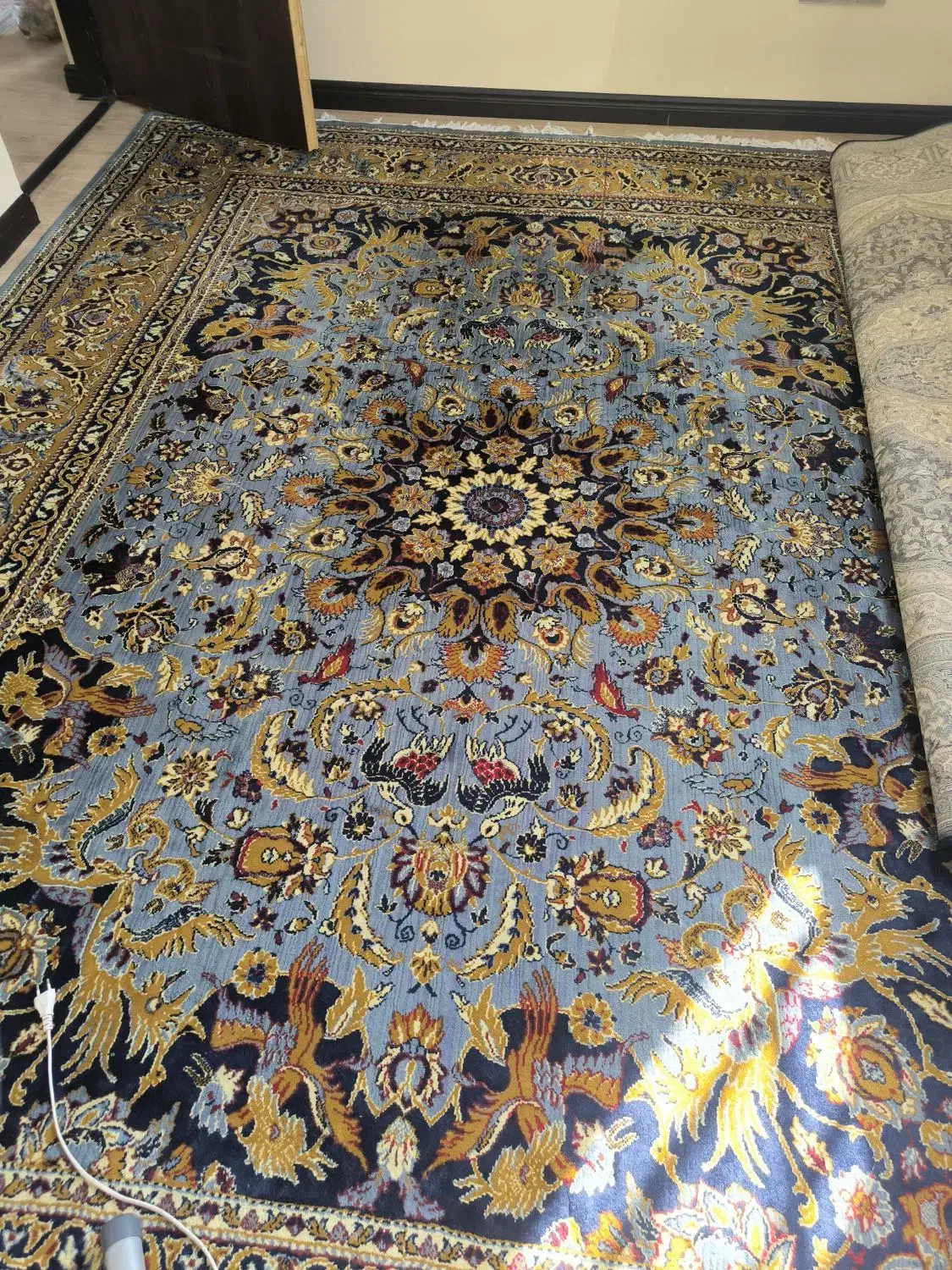 قالی ۱۲ متری|فرش|تنکابن, |دیوار