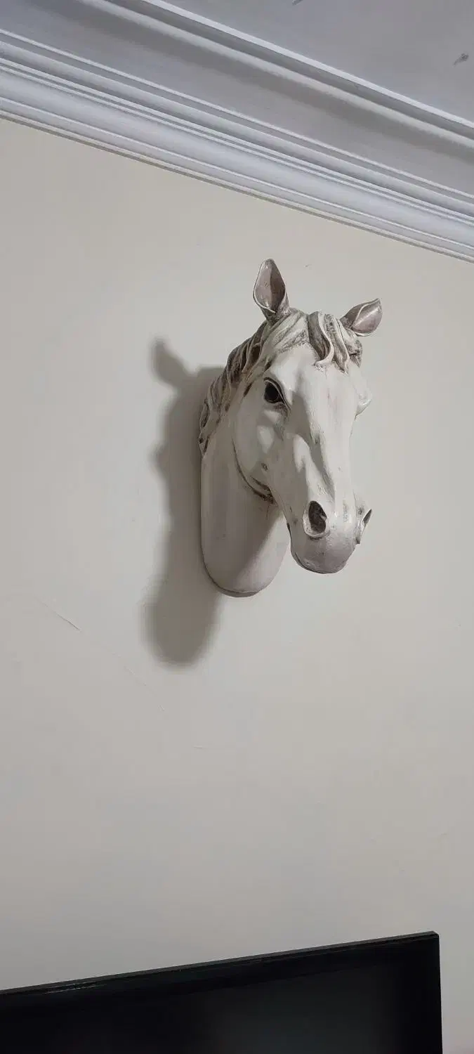 تزئینی|مجسمه، تندیس، ماکت|تهران, اسفندیاری|دیوار