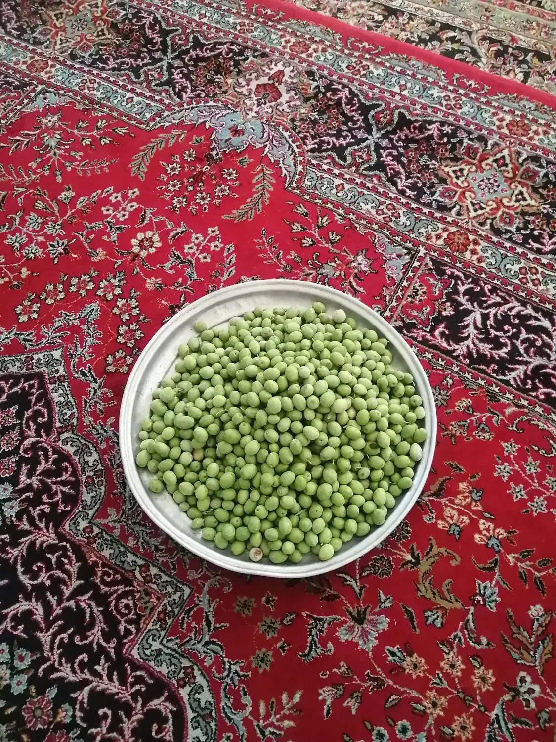 زیتون ارگانیک|خوردنی و آشامیدنی|شیراز, کرونی(خاتونک)|دیوار