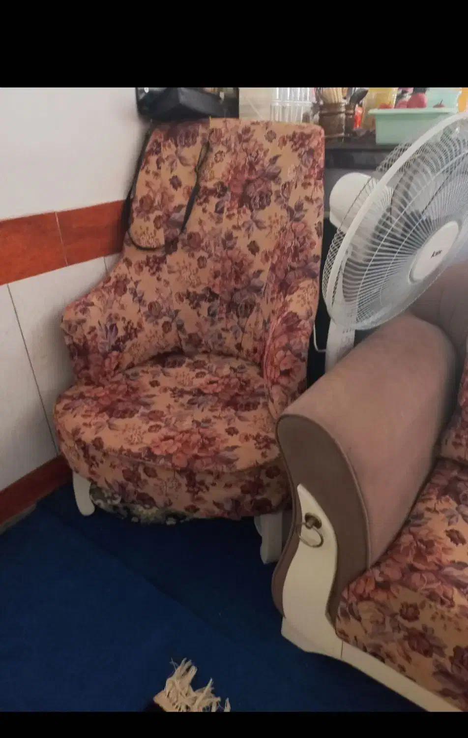 مبل|مبلمان خانگی و میز عسلی|گنبد کاووس, |دیوار