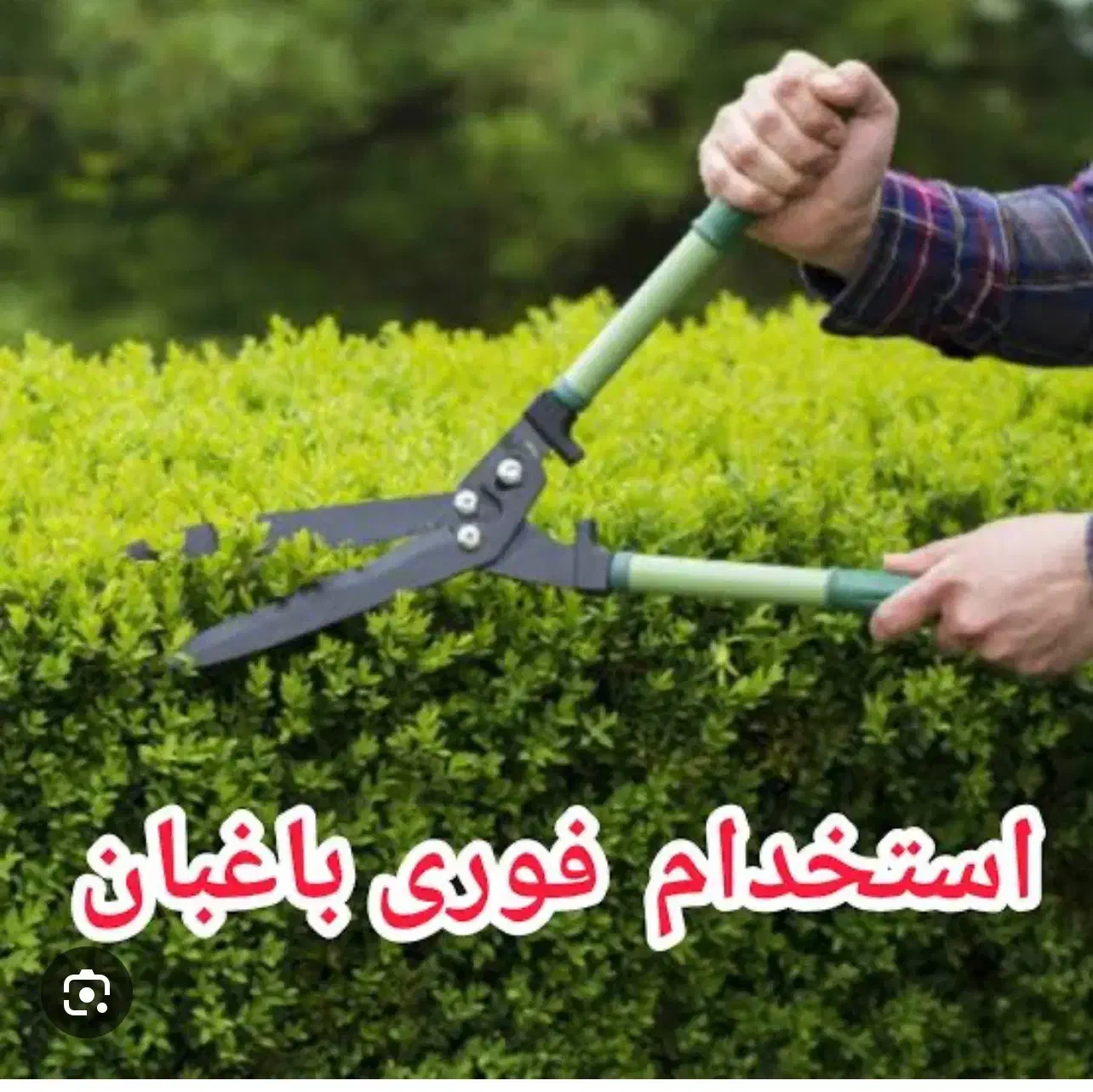 سرایدار و‌یاغبان|استخدام سرایداری و نظافت|کومله, |دیوار