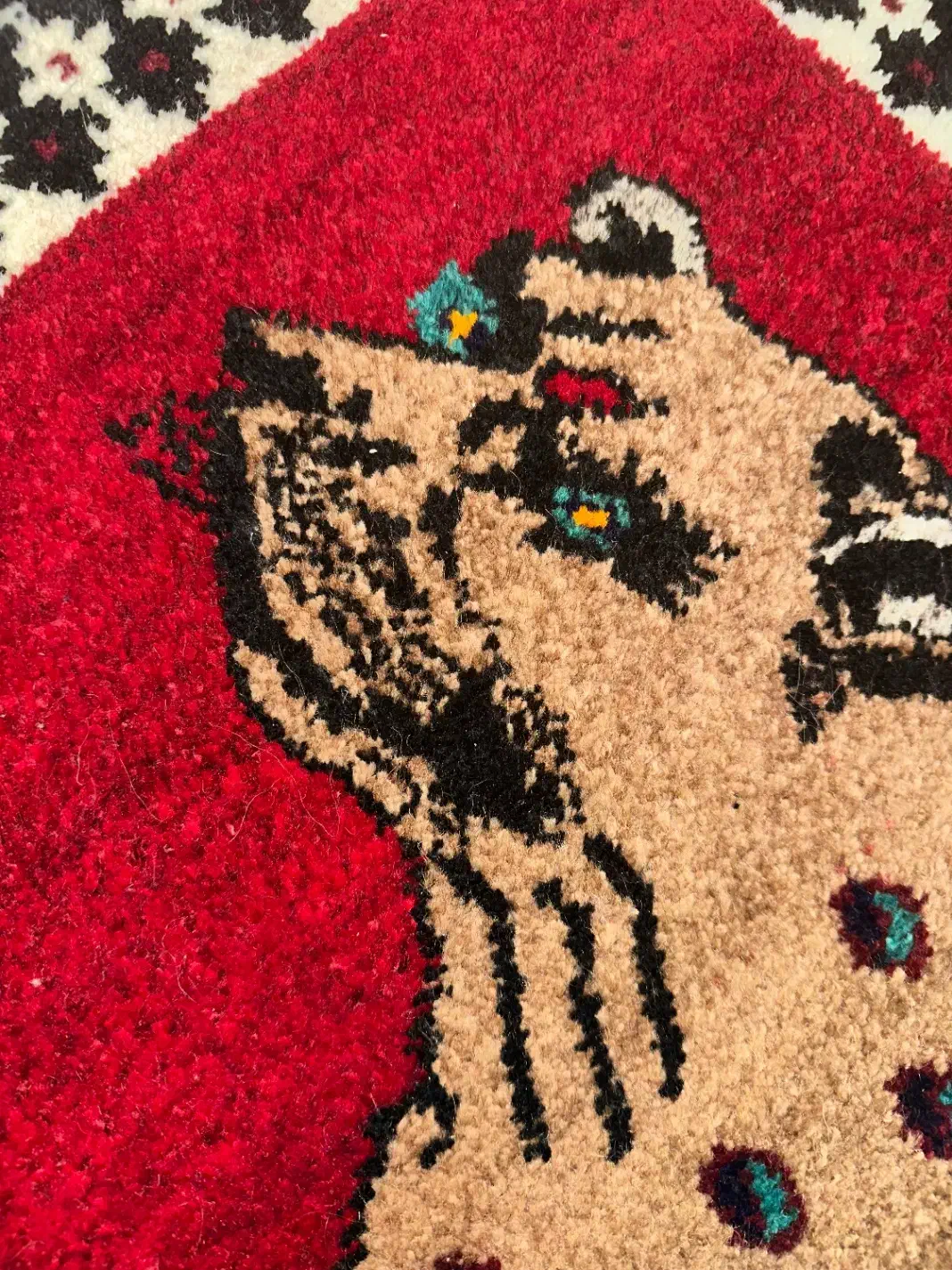 قالی چه|فرش|شیراز, شهرک گلستان|دیوار