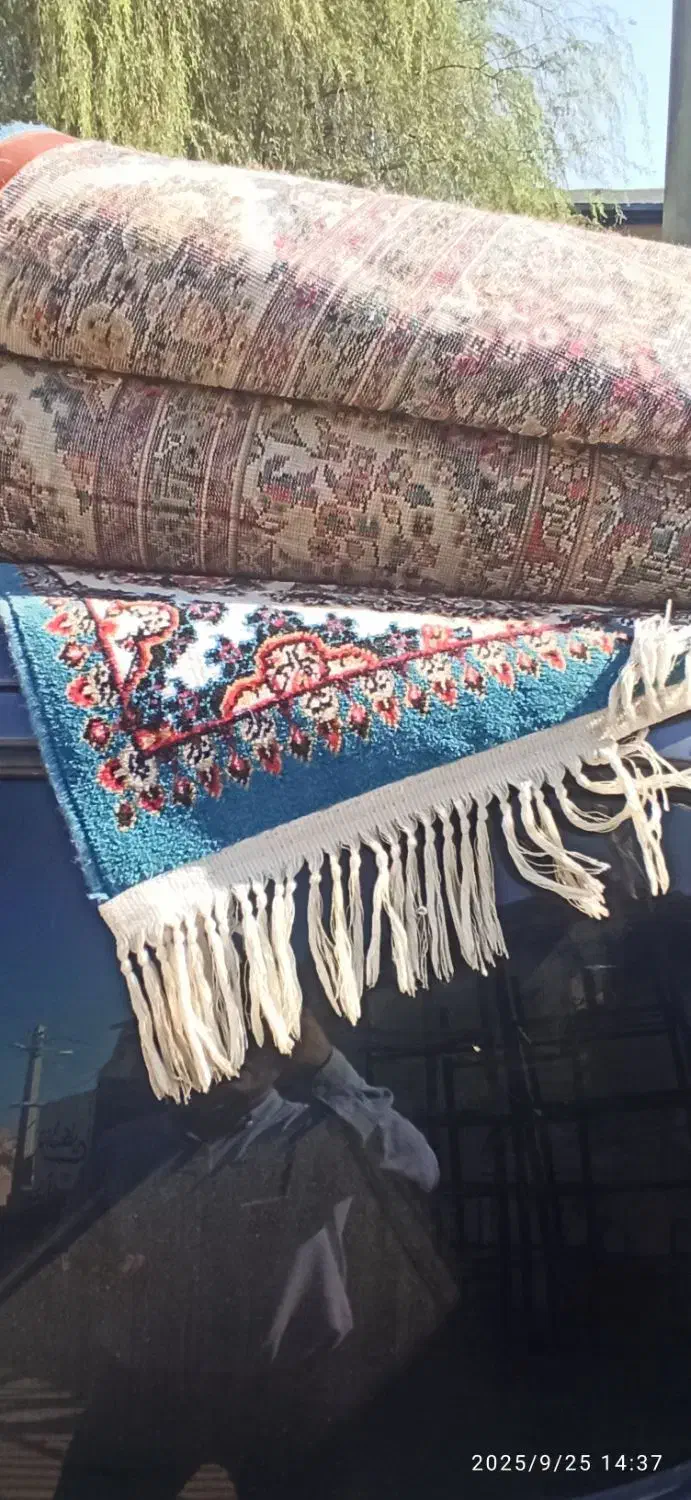 تعدادی فرش 12متری و 6و 9متری  قیمت خوب|فرش|قشم, |دیوار