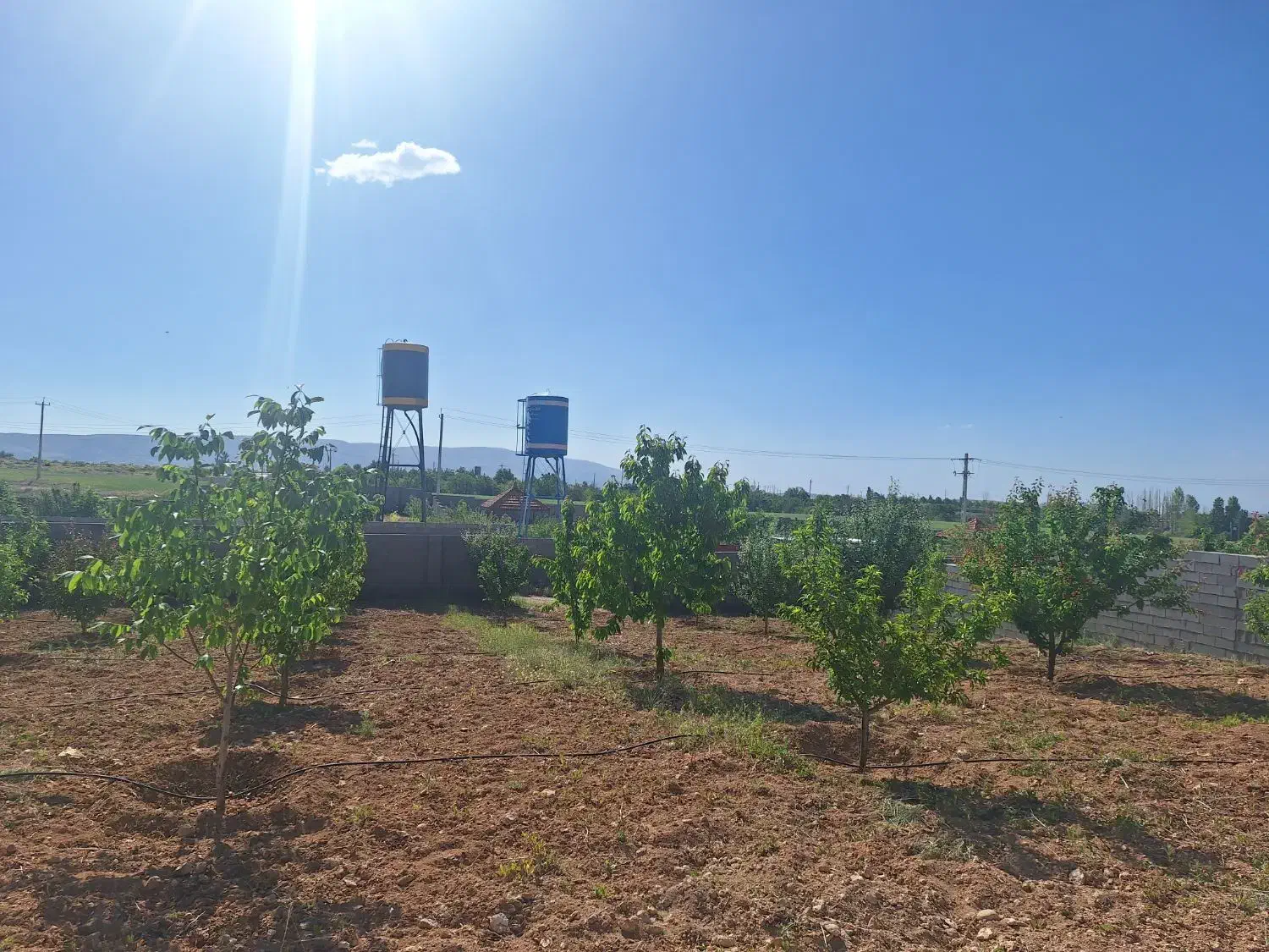 زمین باغشهری کودیان قره چمن|فروش زمین و ملک کلنگی|شیراز, شهرک قمشه|دیوار