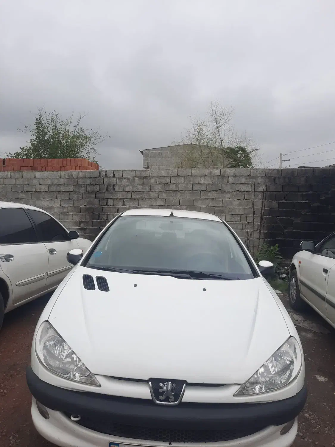 پژو ۲۰۶ مدل ۹۱|خودرو سواری و وانت|چمستان, |دیوار