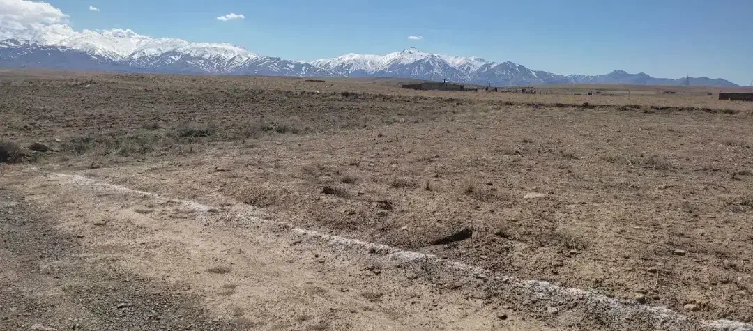 زمین کشاورزی|فروش دفتر صنعتی، کشاورزی، تجاری|کبودرآهنگ, |دیوار