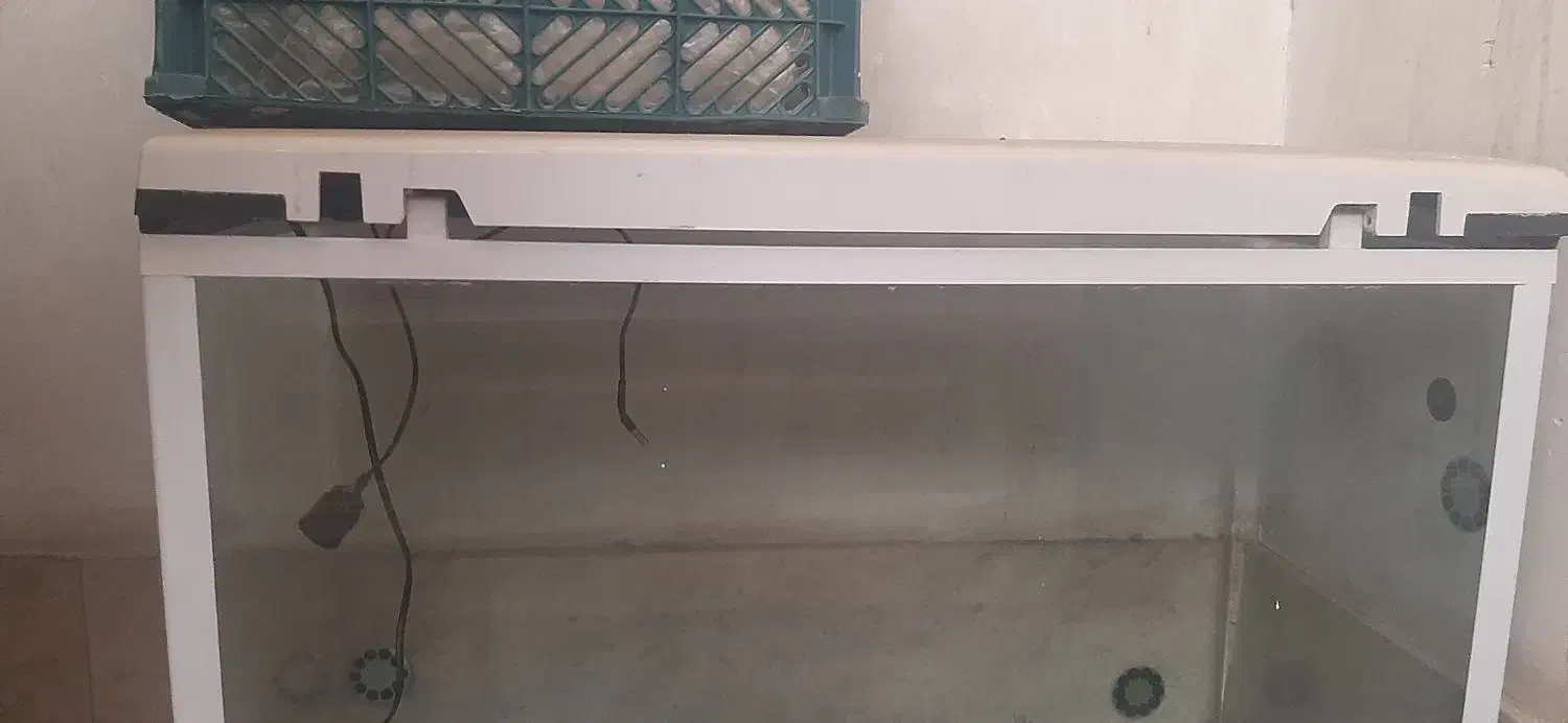 اکواریوم شیشه خم ضد ضربه نشکن|ماهی|تهران, وحیدیه|دیوار