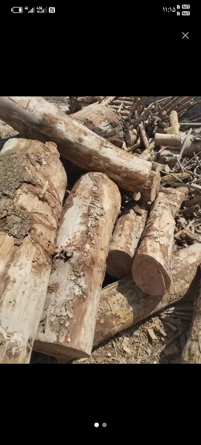 خرید ضعایت نجاری و درخت وهیزم|خدمات باغبانی و درختکاری|قم, ولیعصر|دیوار