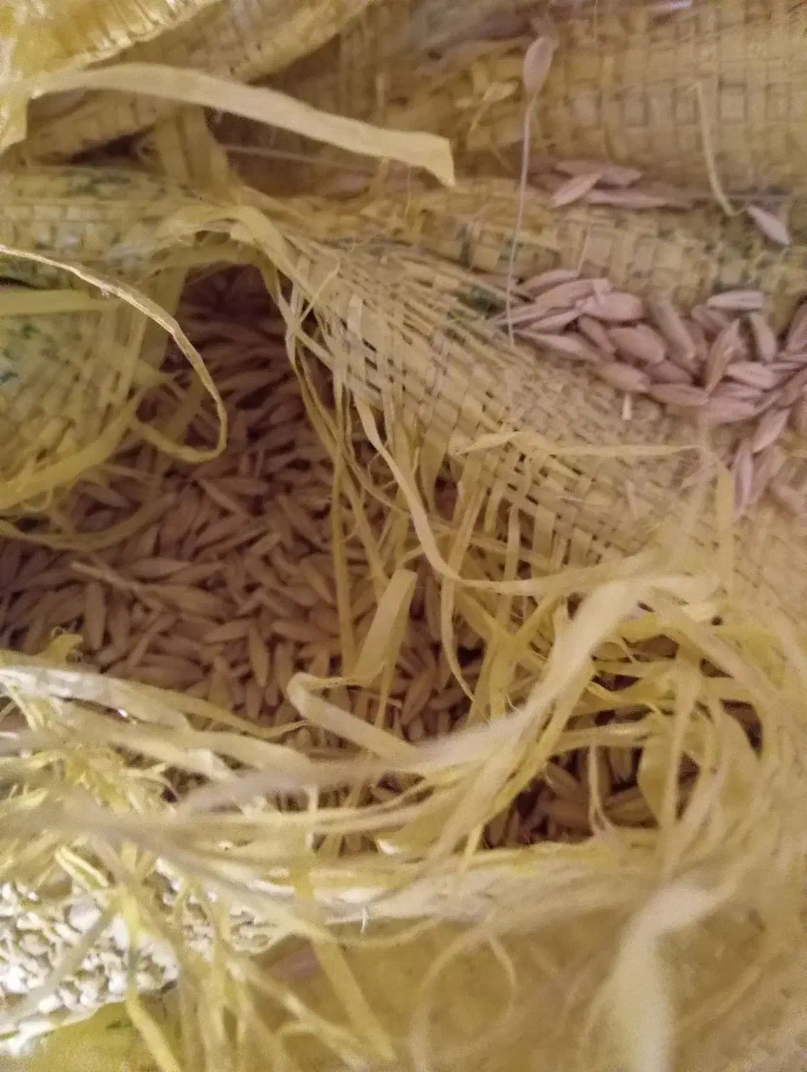 جو دیم|خوردنی و آشامیدنی|بیرانوند, |دیوار