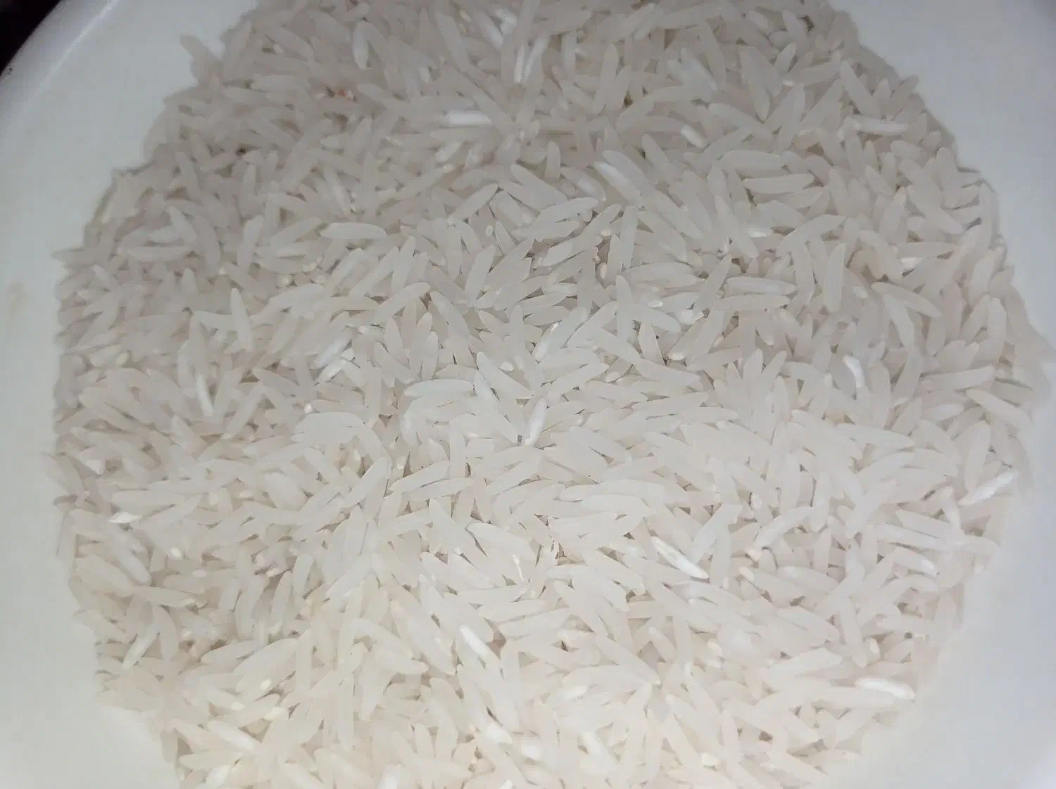 برنج فجر سوزنی|خوردنی و آشامیدنی|علی‌آباد کتول, |دیوار