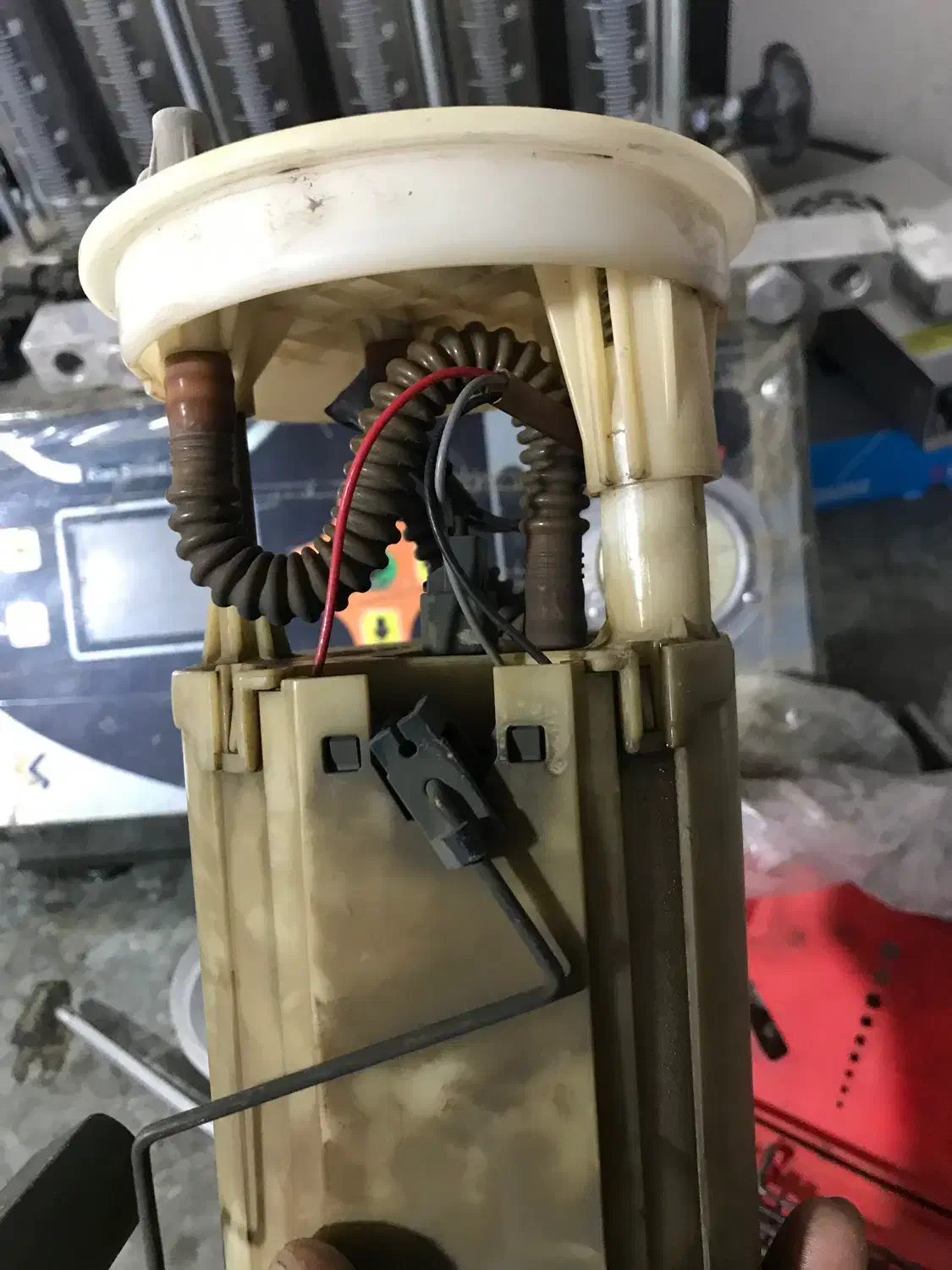 مشاوره رایگان خودرو|فعالیت داوطلبانه|کرمان, |دیوار