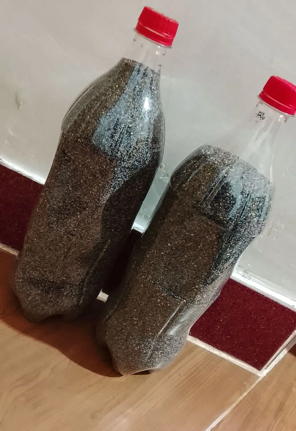 بذر|گل و گیاه طبیعی|کوهدشت, |دیوار