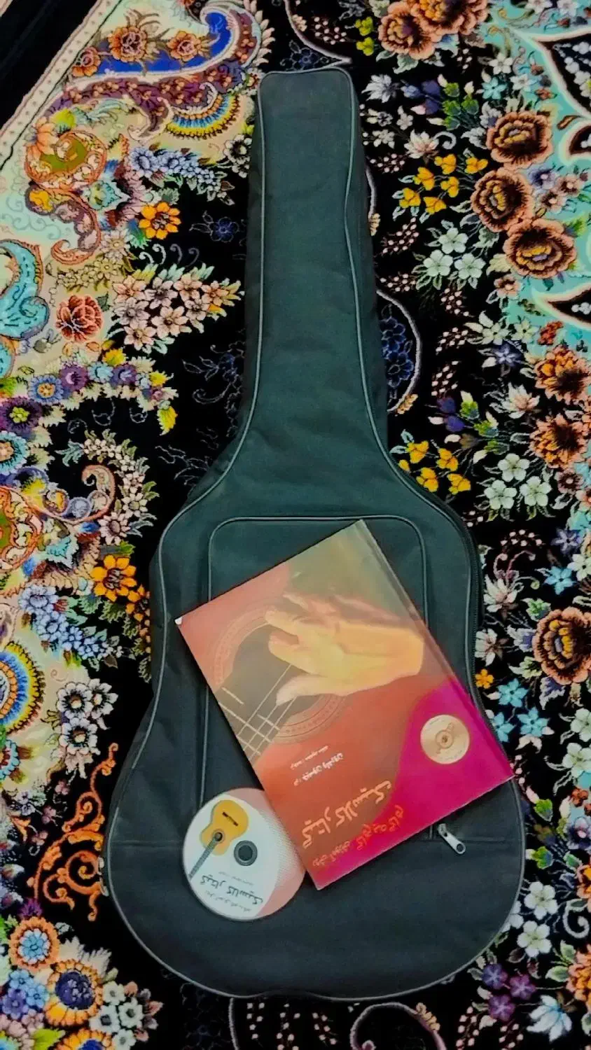 گیتار کینگ خشک|گیتار، بیس، امپلیفایر|زاهدان, |دیوار