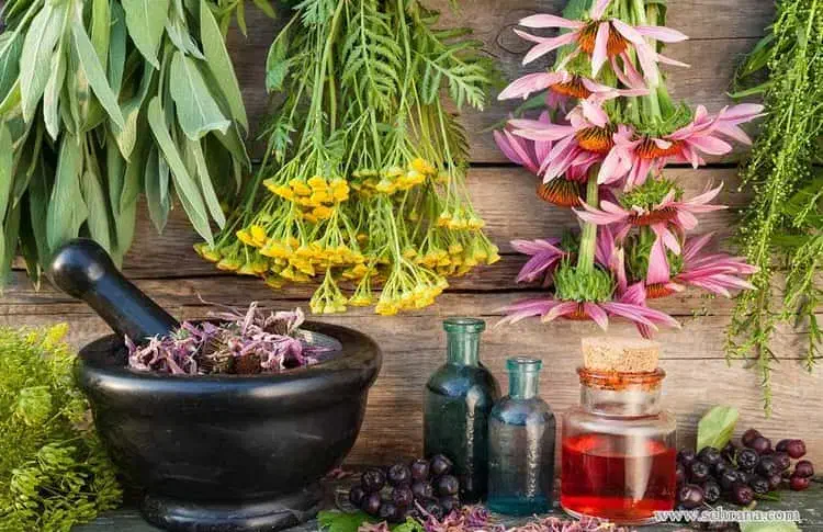 صابون ضد شوره گیاهی واقعی|آرایشی، بهداشتی، درمانی|تهران, آشتیانی|دیوار