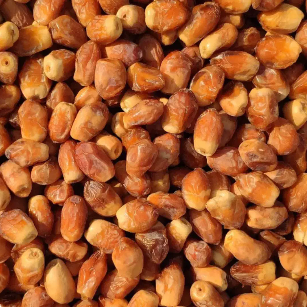 دست چین|خوردنی و آشامیدنی|برهسر, |دیوار