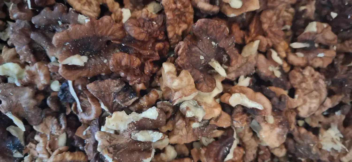 فروش مغز گردو|خوردنی و آشامیدنی|بوانات, |دیوار