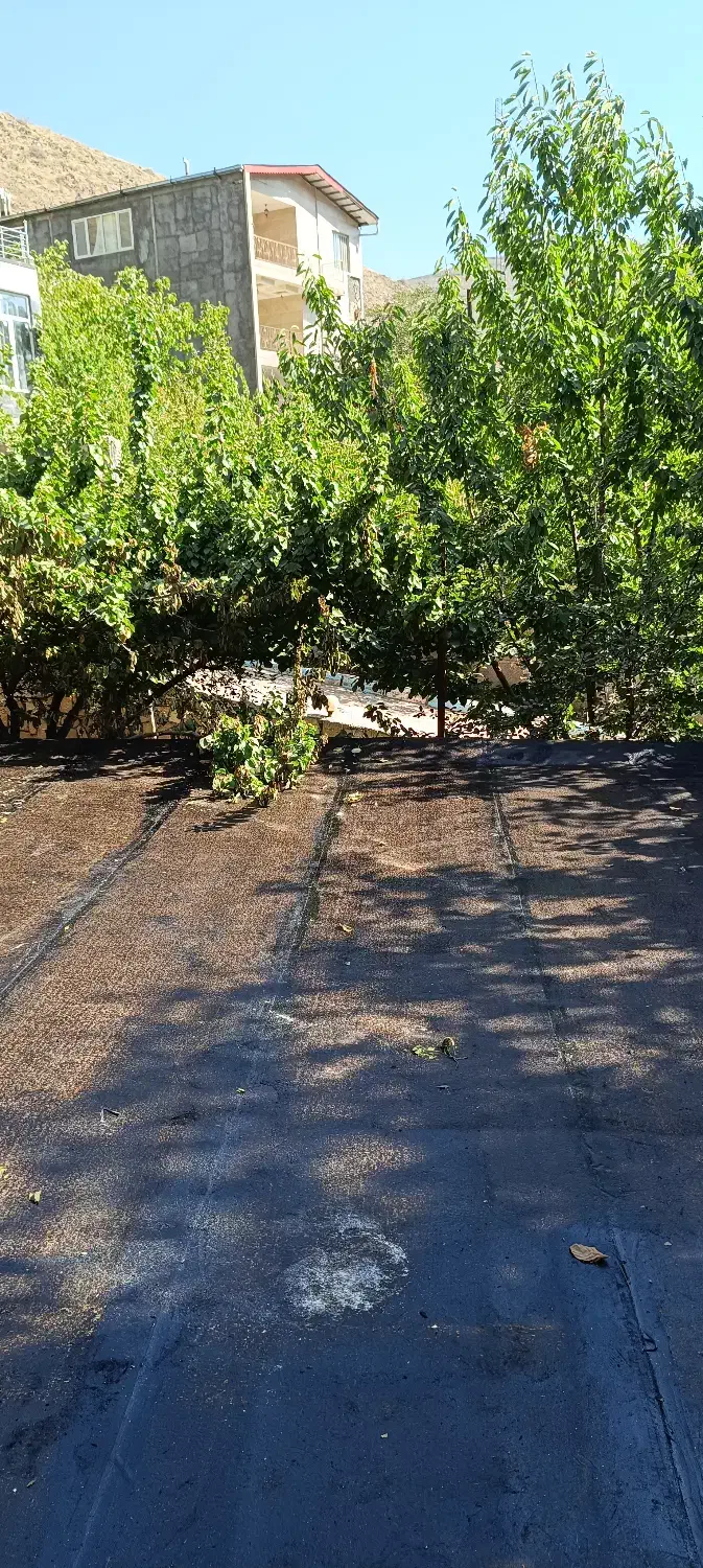 نصب ایزوگام شرق و لکه گیری کلی و جزئی سراسر مشهد|خدمات پیشه و مهارت|مشهد, هفده شهریور|دیوار