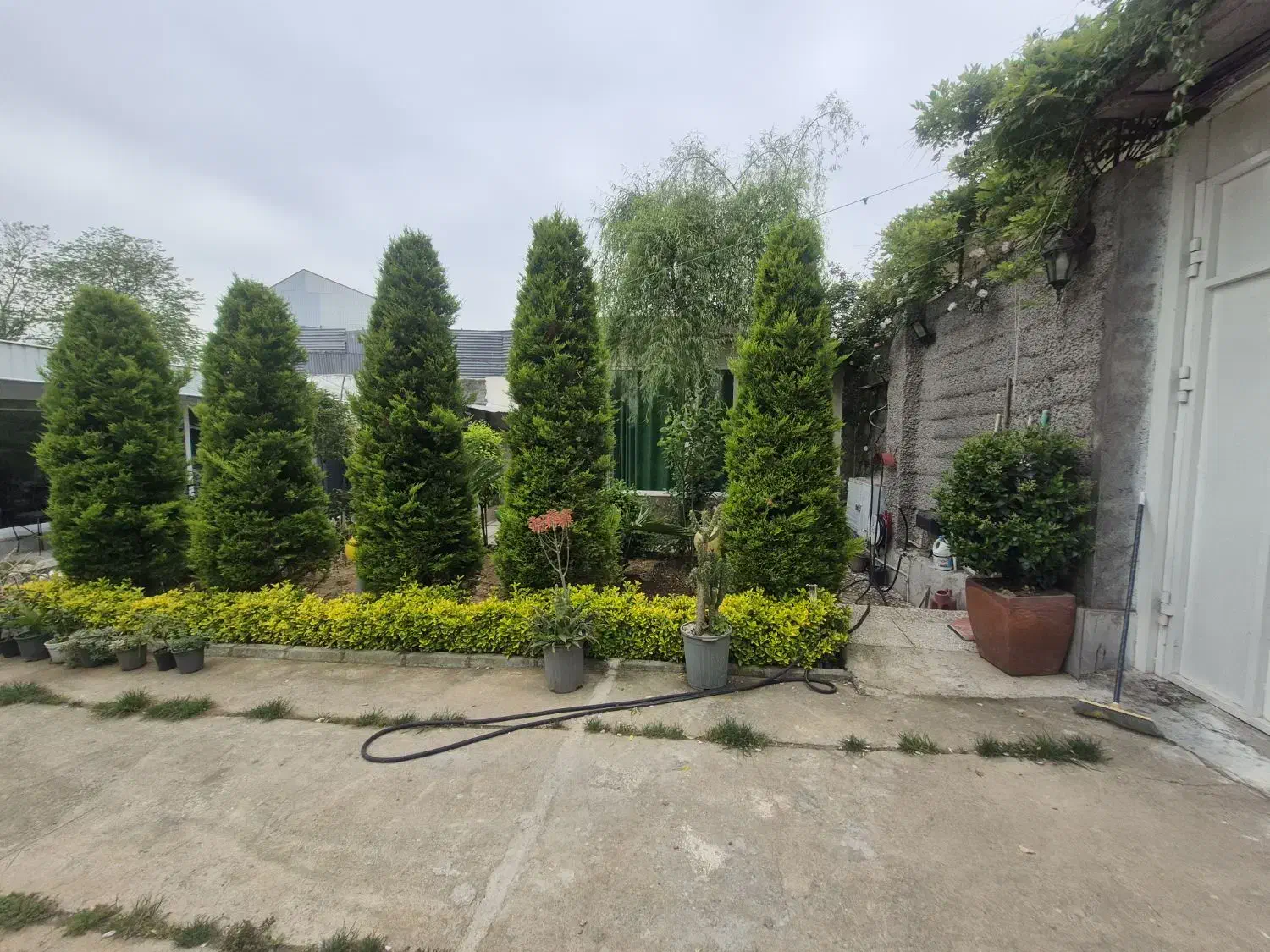 کرایه خانه ویلایی|اجارهٔ کوتاه‌مدت ویلا و باغ|رشت, منظریه|دیوار